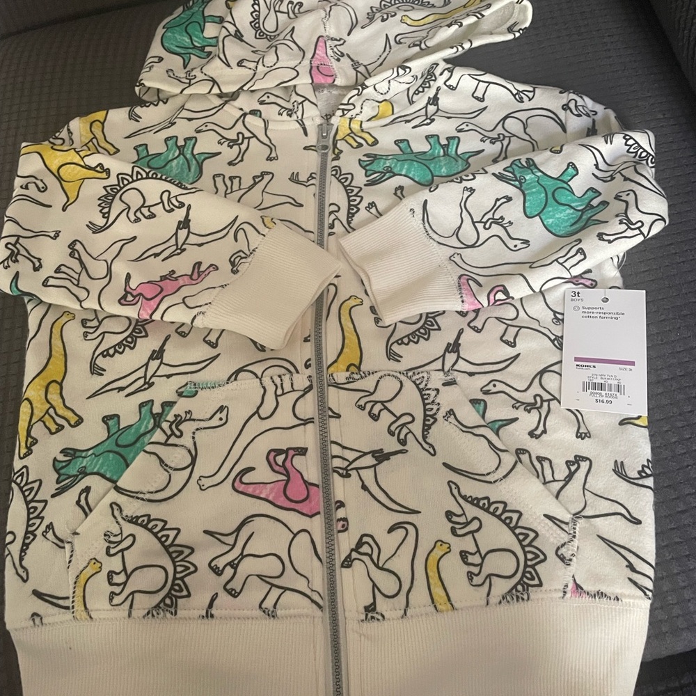Dinosaur Print Hoodie for Kids